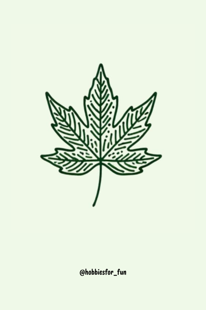 Easy Sweetgum Leaf drawing