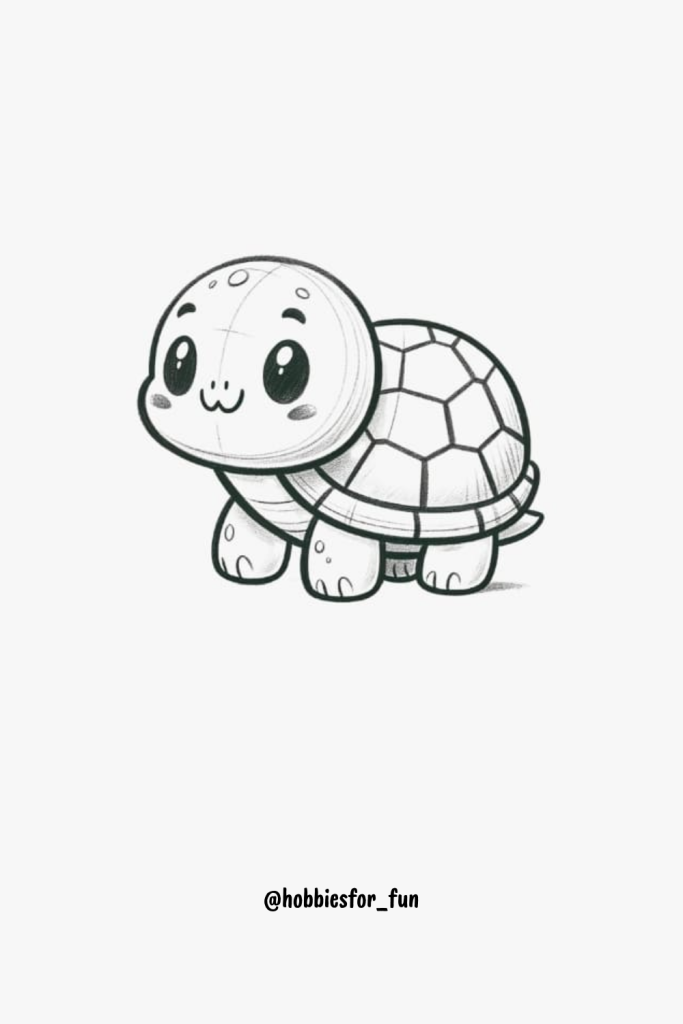 Simple Sketch Drawing, Turtle