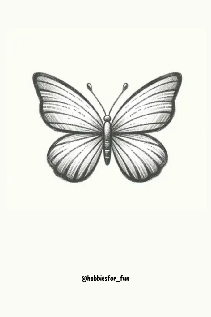 Beautiful Pencil Drawing, Butterfly