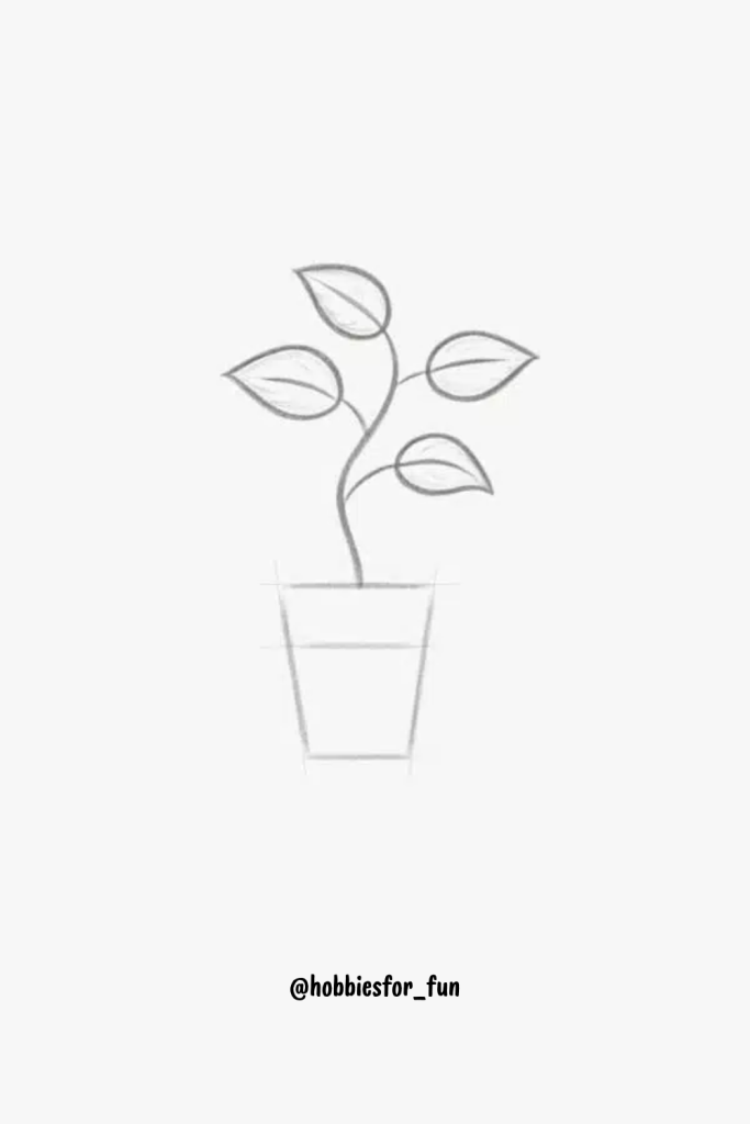 Simple Easy Pencil Drawings For Beginners, Houseplant