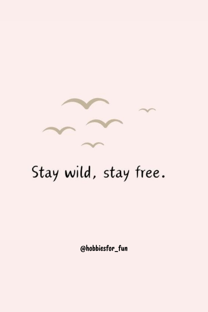 short inspirational quote, Stay wild, stay free.