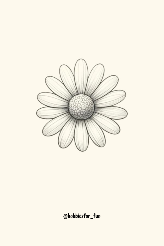 Creative Unique Pencil Drawing, Daisy