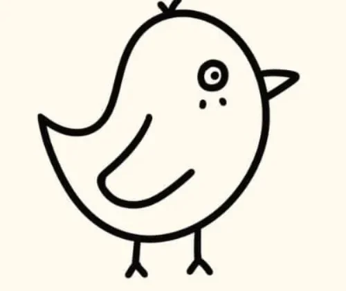 Easy Bird Drawing