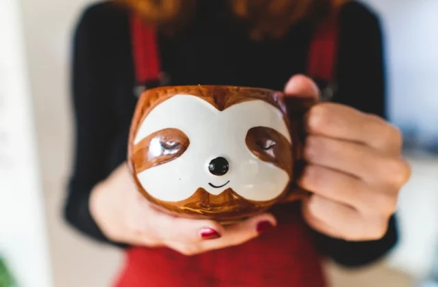 Easy Sloth Drawing: Step-by-Step Guide