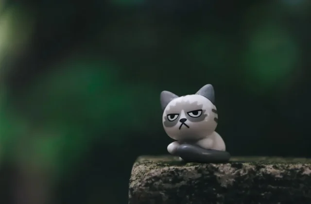 Easy Cartoon Cat (Step-by-Step)