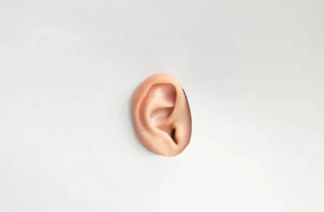 Ear Drawing: Easy Step-by-Step Guide for Beginners